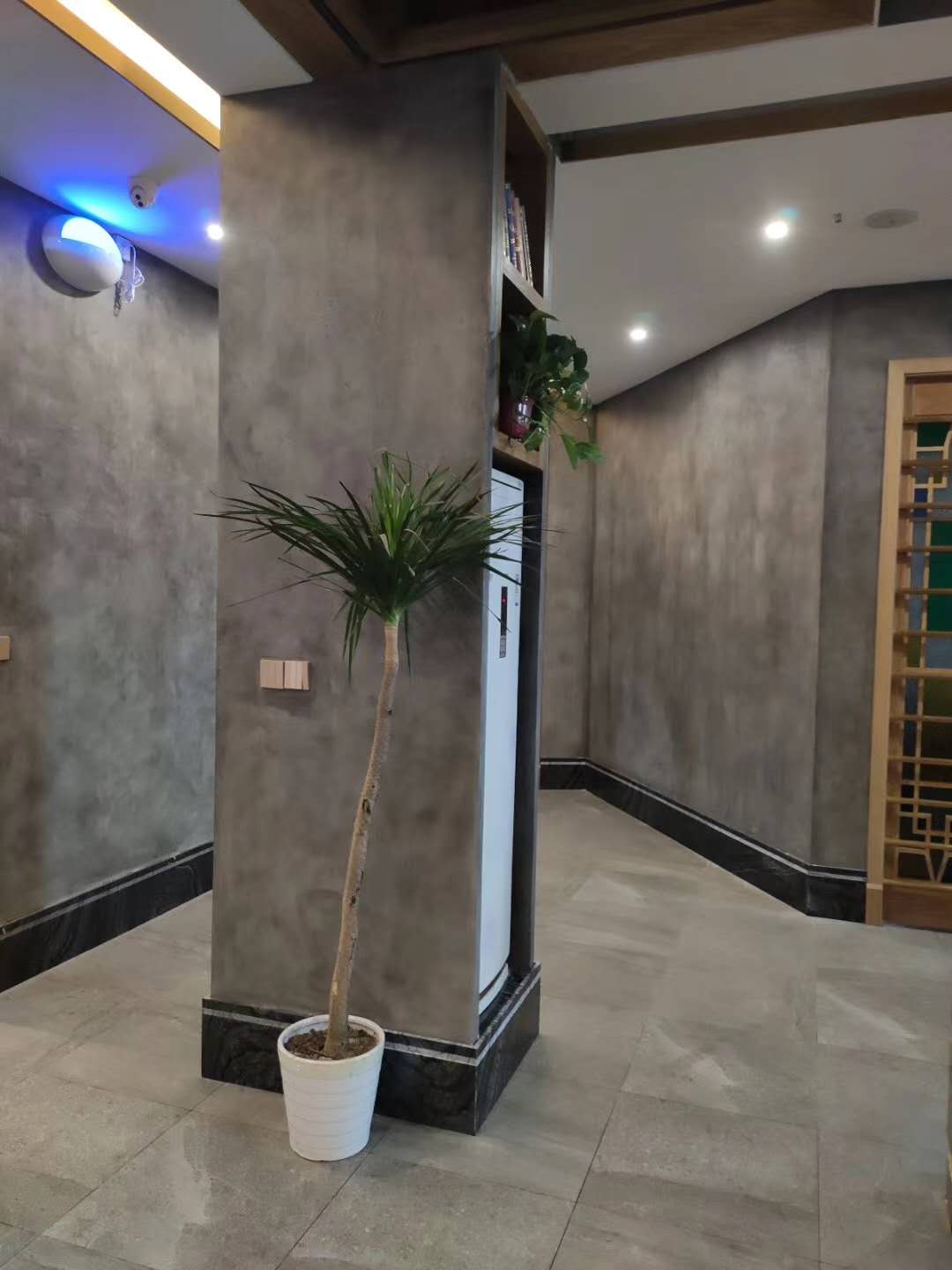 1730777816676767.jpg